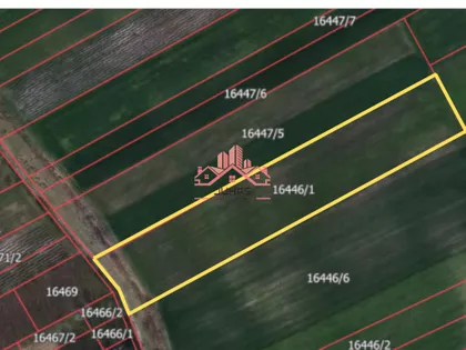 Makova Sedmica | 4zida.rs