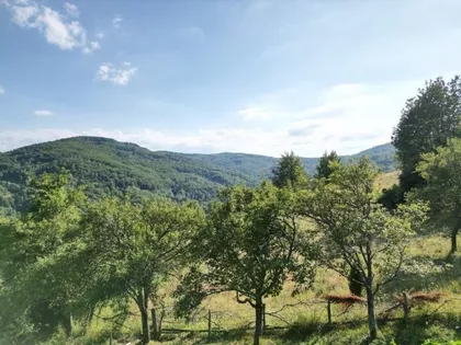 Kaluđerovići  | 4zida.rs
