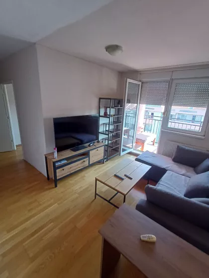 Dr Svetislava Kasapinovića | 4zida.rs