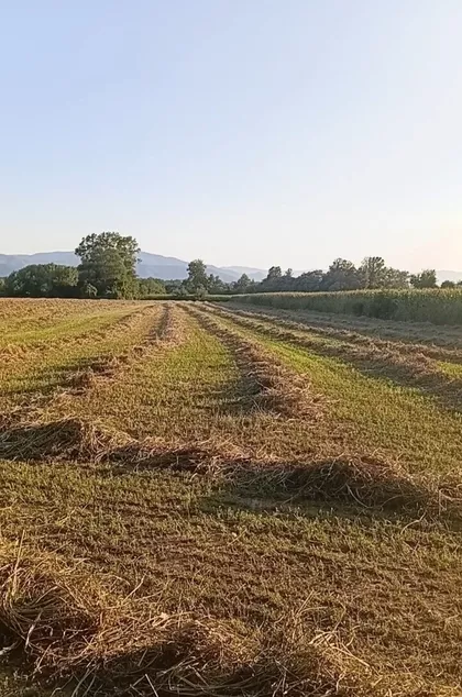 Zaselak Kulagića Ada | 4zida.rs