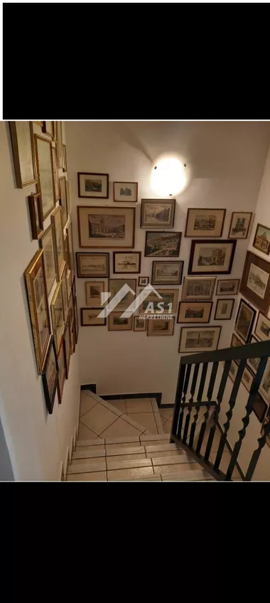 Miše Dimitrijevića