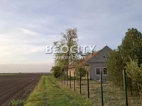 Gradske lokacije, Bačka Palanka | 4zida.rs