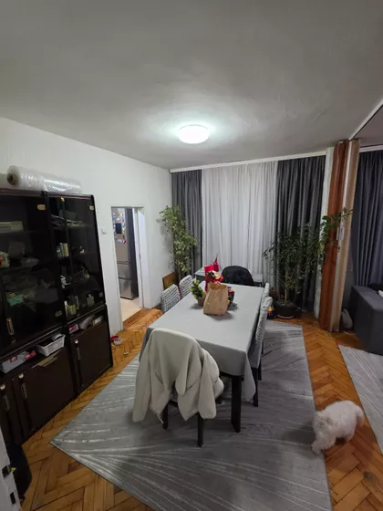 Josifa Pančića | 4zida.rs