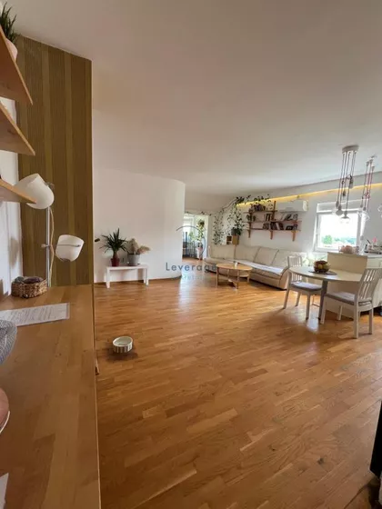 Dr Ivana Ribara | 4zida.rs