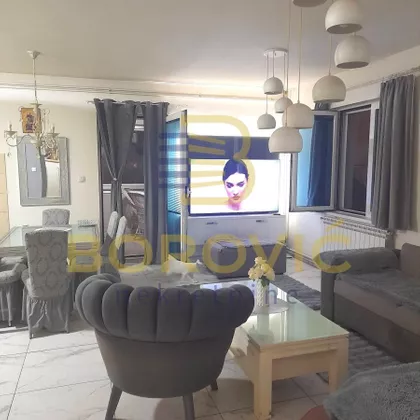 Surčin (mesto) | 4zida.rs