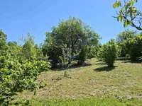 Čardak, Sremska Kamenica, Gradske lokacije, Novi Sad | 4zida.rs