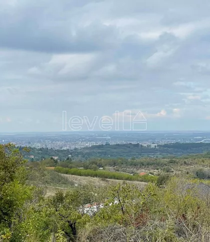 Alibegovac | 4zida.rs