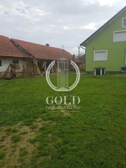 Ive Lole Ribara | 4zida.rs