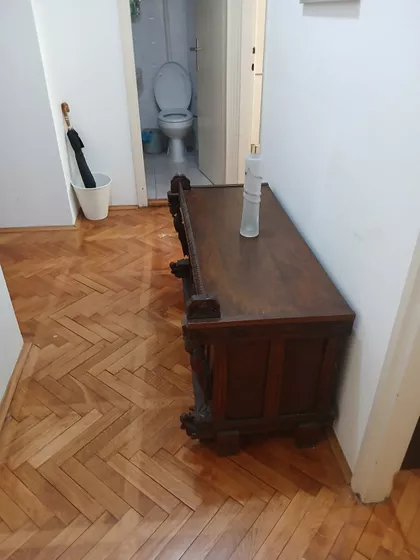 Despota Olivera | 4zida.rs