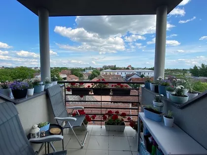 Zrenjanin, Širi centar | 4zida.rs