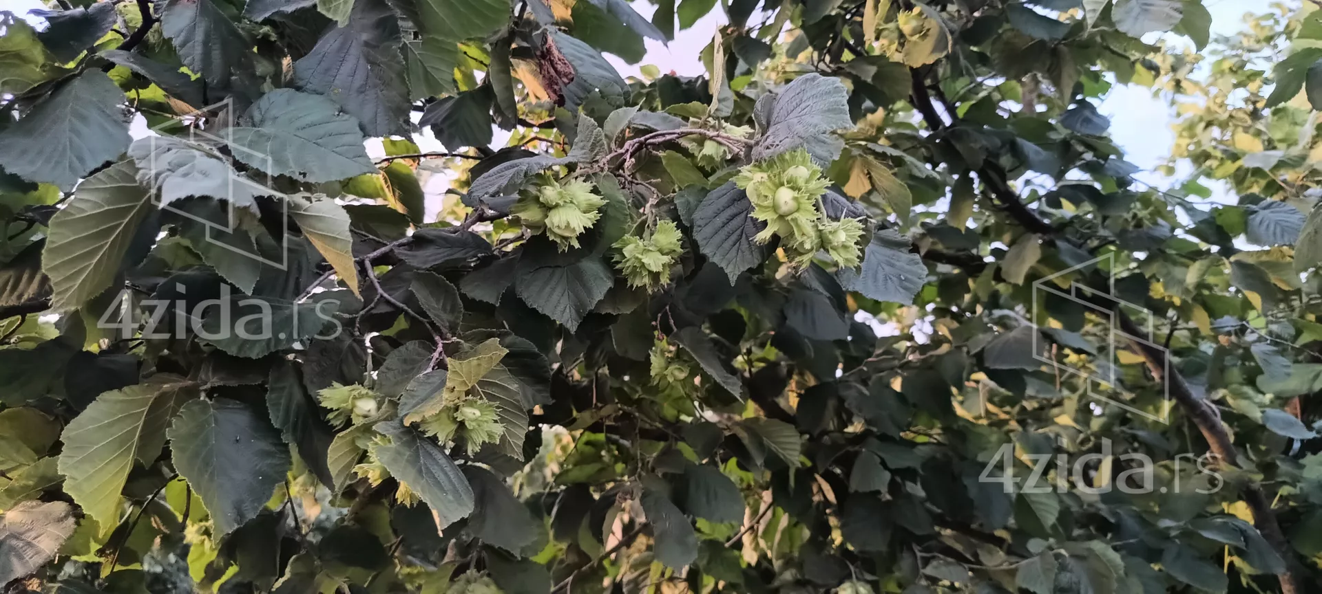 Poljoprivredno zemljište | 4zida