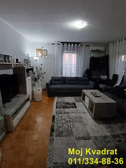 Dr Ivana Ribara | 4zida.rs