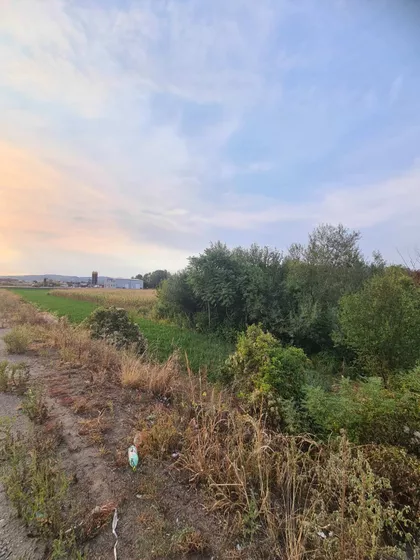 Belopoljska | 4zida.rs