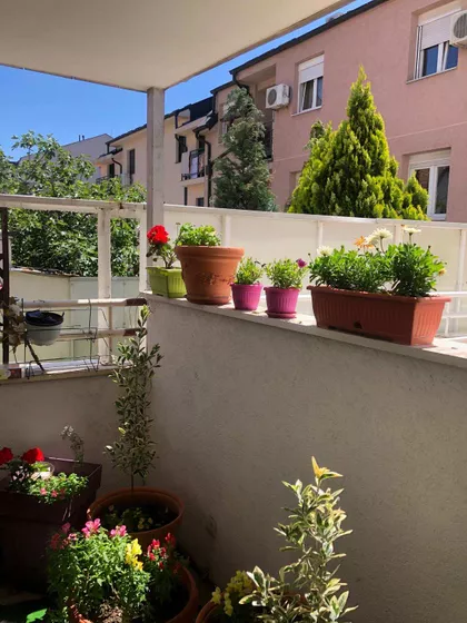 Vračar | 4zida.rs