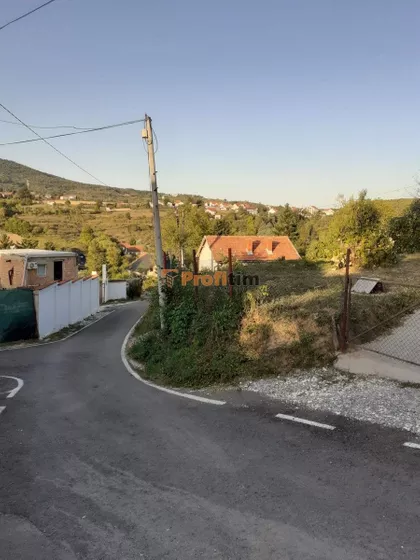 Veliki vis | 4zida.rs