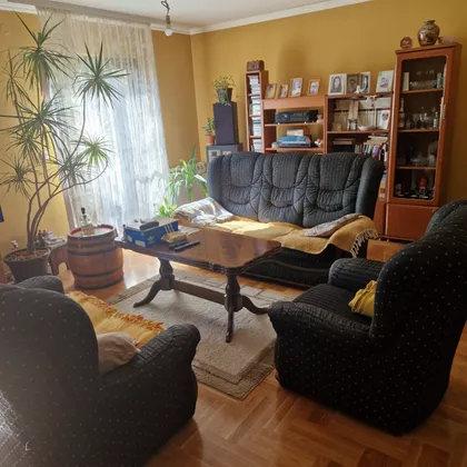 Dragomira Kranjčevića | 4zida.rs