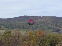 Koraćica, Mladenovac opština, Beograd | 4zida.rs