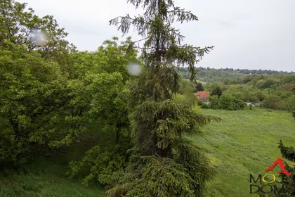 Čortanovci | 4zida.rs