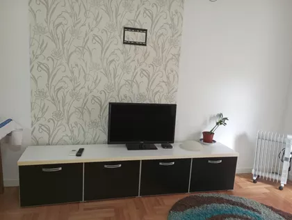 Vase Pelagića | 4zida.rs
