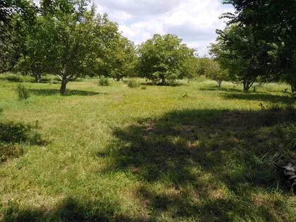 Opština Zrenjanin, Melenci | 4zida.rs