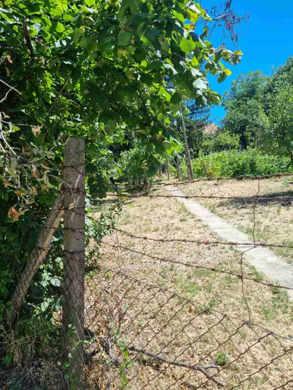 Vuka Karadžića | 4zida.rs
