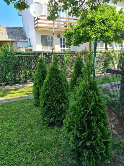 Gradske lokacije | 4zida.rs