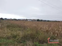 Futog, Okolne lokacije, Novi Sad | 4zida.rs