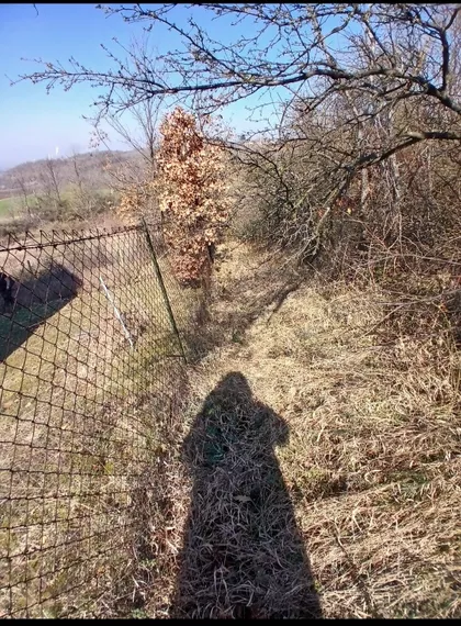 Mislođinska | 4zida.rs