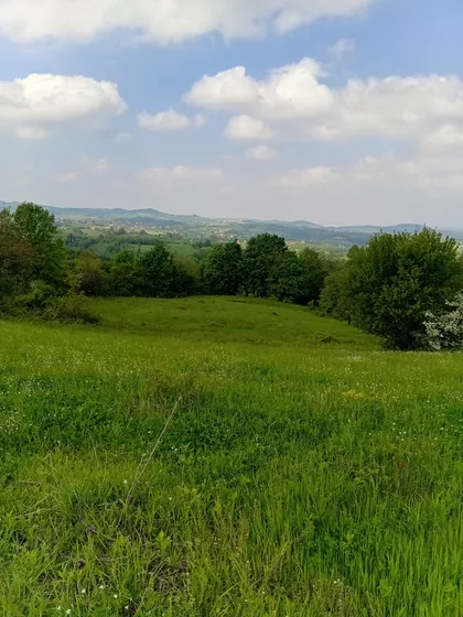 Trbušnica | 4zida.rs