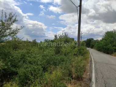 Janka Tešića
