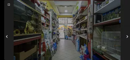 Nova Detelinara | 4zida.rs