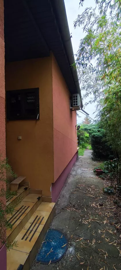 Srpski Šor | 4zida.rs