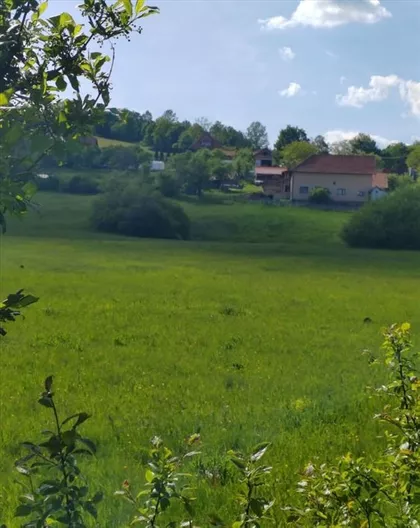 Rožanstvo | 4zida.rs