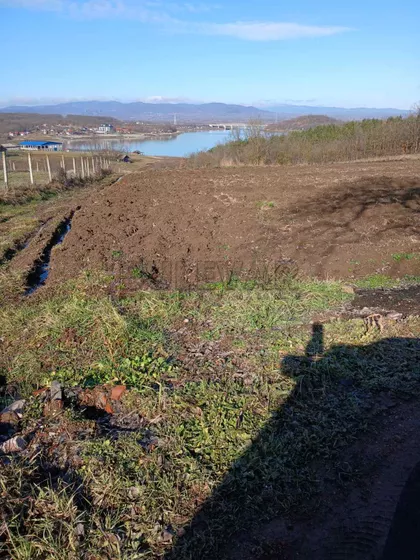 Žunje | 4zida.rs