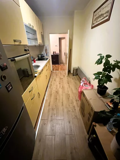 Dr Nika Miljanića | 4zida.rs