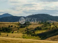 Potoci, Okolne lokacije, Zlatibor | 4zida.rs