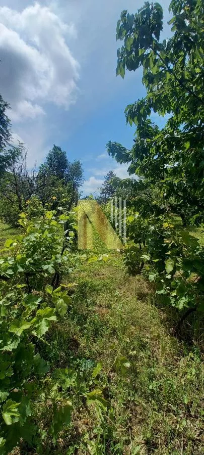 Vrdnik | 4zida.rs