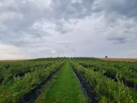 Poljoprivredno zemljište | 4zida