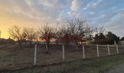Palić | 4zida.rs