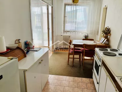 Dr Ivana Ribara | 4zida.rs