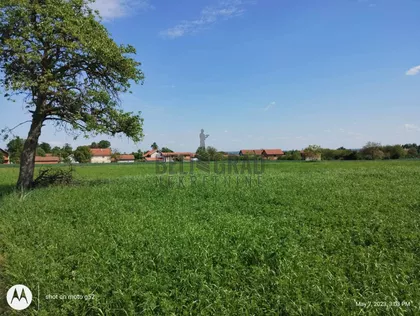 Kragujevačka | 4zida.rs