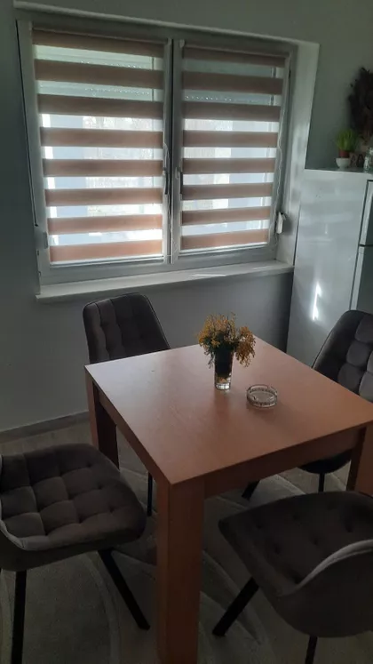 Ruža Šulman | 4zida.rs