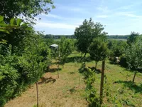 Petrovaradin, Gradske lokacije, Novi Sad | 4zida.rs