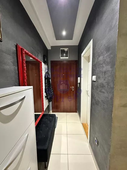 Nova Detelinara | 4zida.rs