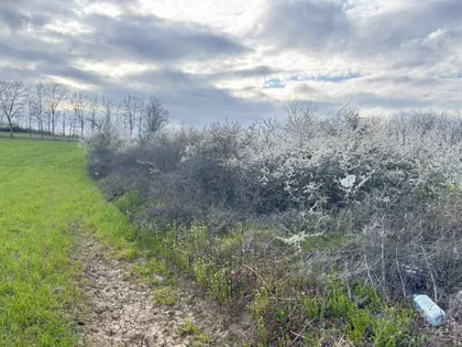 Kosmajska | 4zida.rs