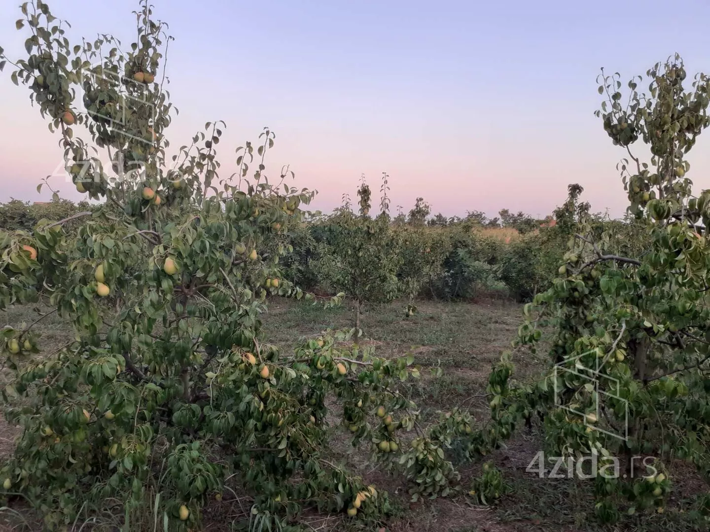 Poljoprivredno zemljište | 4zida