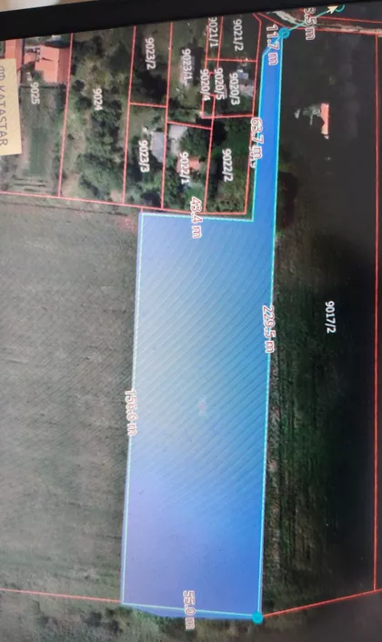 Okićenog Pendžera | 4zida.rs