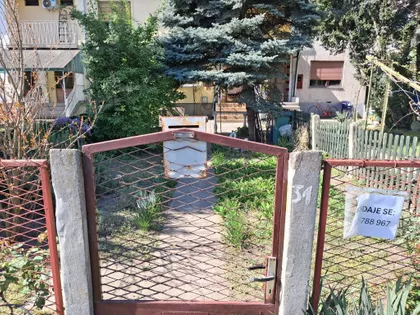 Vladimira Majakovskog 31c | 4zida.rs