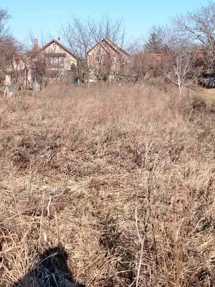 Šangajska | 4zida.rs