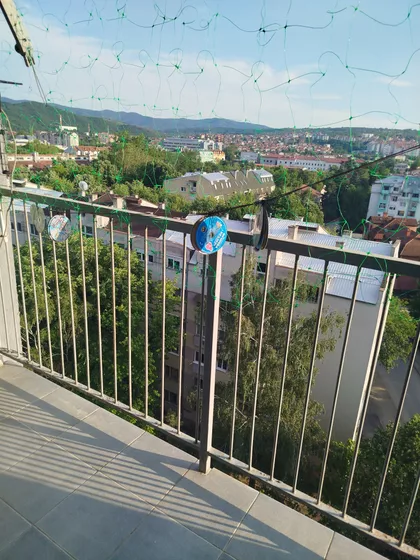 Boško Buha | 4zida.rs